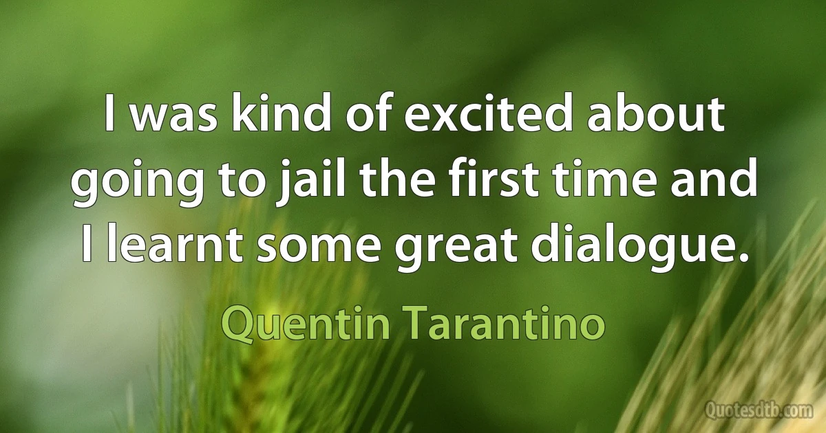 I was kind of excited about going to jail the first time and I learnt some great dialogue. (Quentin Tarantino)