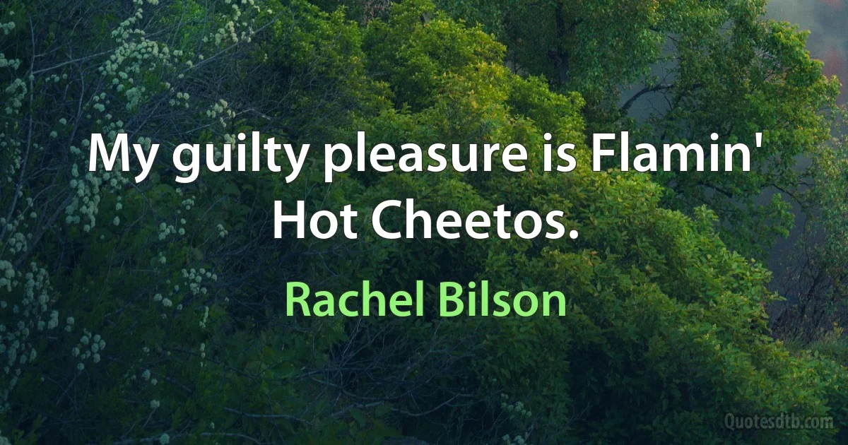 My guilty pleasure is Flamin' Hot Cheetos. (Rachel Bilson)