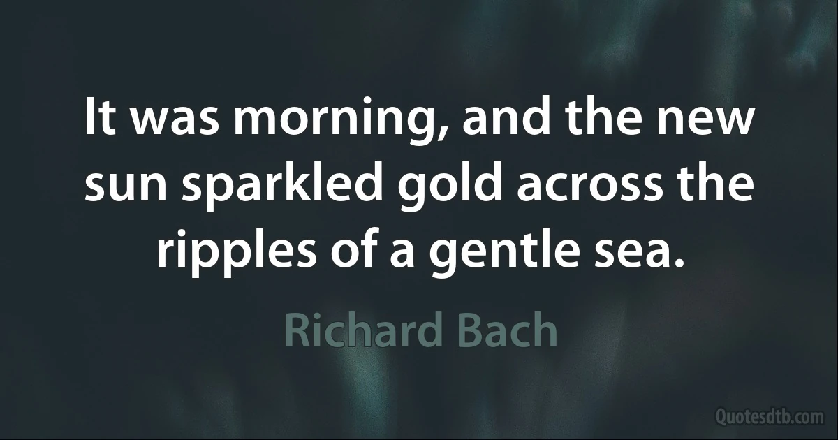 It was morning, and the new sun sparkled gold across the ripples of a gentle sea. (Richard Bach)