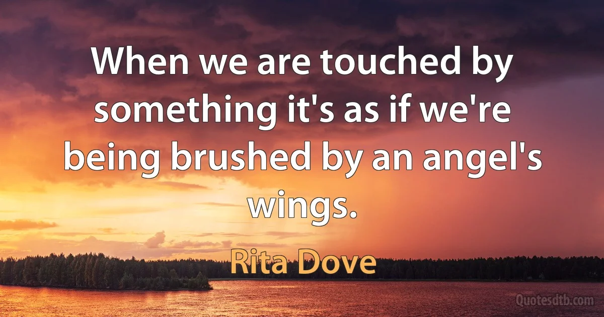 When we are touched by something it's as if we're being brushed by an angel's wings. (Rita Dove)