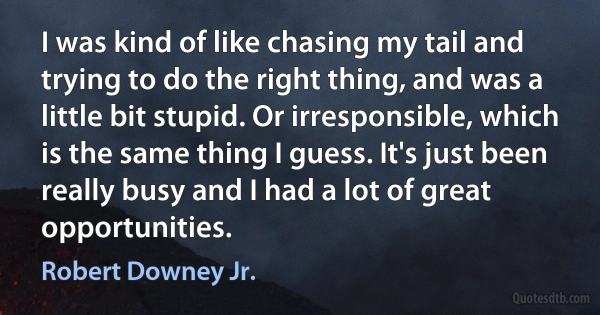 I was kind of like chasing my tail and trying to do the right thing, and was a little bit stupid. Or irresponsible, which is the same thing I guess. It's just been really busy and I had a lot of great opportunities. (Robert Downey Jr.)