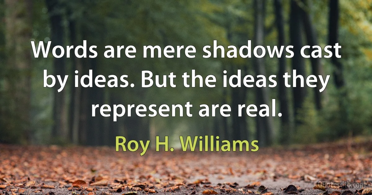 Words are mere shadows cast by ideas. But the ideas they represent are real. (Roy H. Williams)