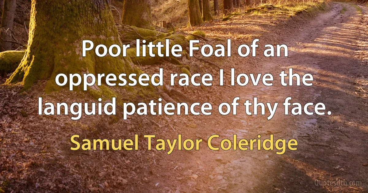 Poor little Foal of an oppressed race I love the languid patience of thy face. (Samuel Taylor Coleridge)