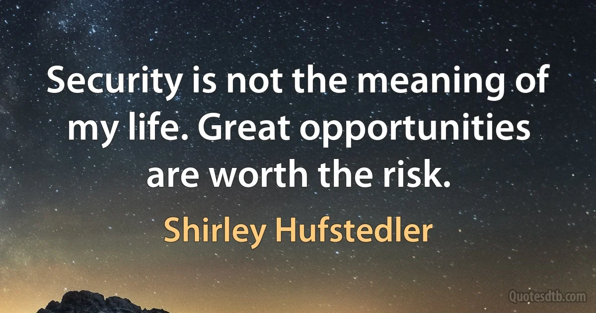 Security is not the meaning of my life. Great opportunities are worth the risk. (Shirley Hufstedler)