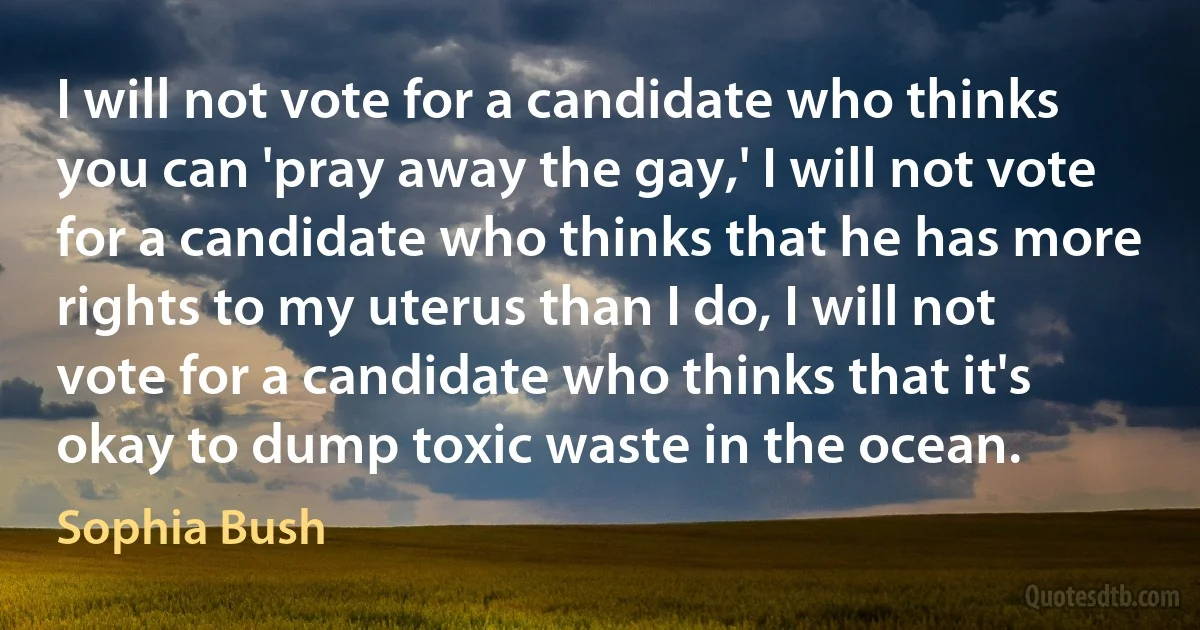 I will not vote for a candidate who thinks you can 'pray away the gay,' I will not vote for a candidate who thinks that he has more rights to my uterus than I do, I will not vote for a candidate who thinks that it's okay to dump toxic waste in the ocean. (Sophia Bush)