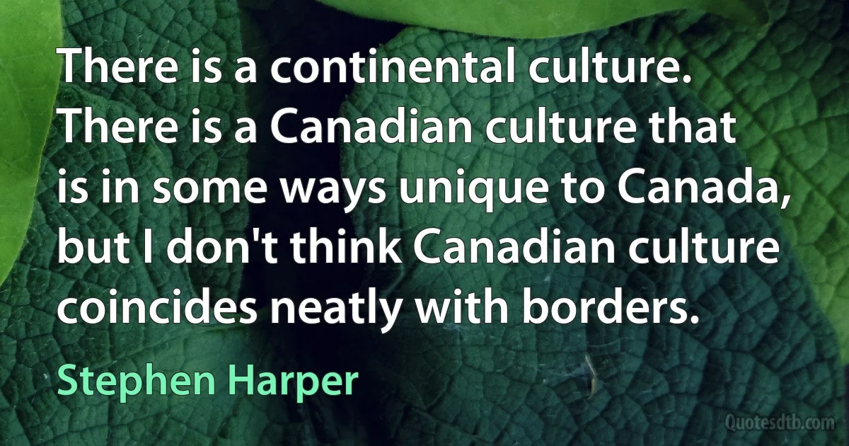 There is a continental culture. There is a Canadian culture that is in some ways unique to Canada, but I don't think Canadian culture coincides neatly with borders. (Stephen Harper)