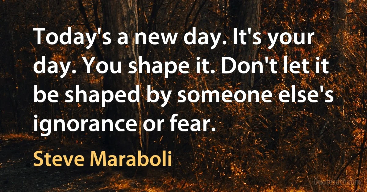 Today's a new day. It's your day. You shape it. Don't let it be shaped by someone else's ignorance or fear. (Steve Maraboli)