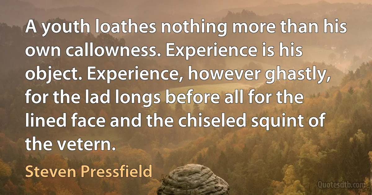 A youth loathes nothing more than his own callowness. Experience is his object. Experience, however ghastly, for the lad longs before all for the lined face and the chiseled squint of the vetern. (Steven Pressfield)