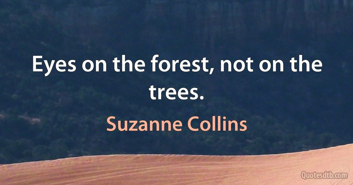 Eyes on the forest, not on the trees. (Suzanne Collins)