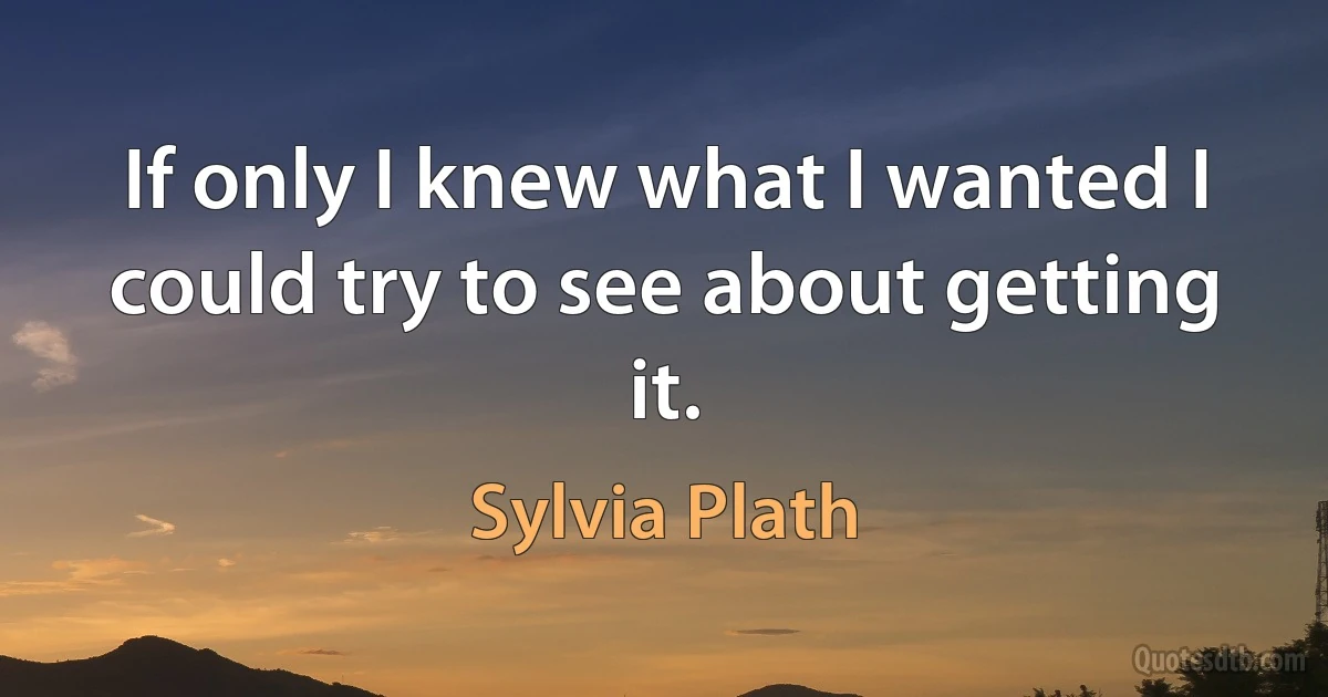 If only I knew what I wanted I could try to see about getting it. (Sylvia Plath)