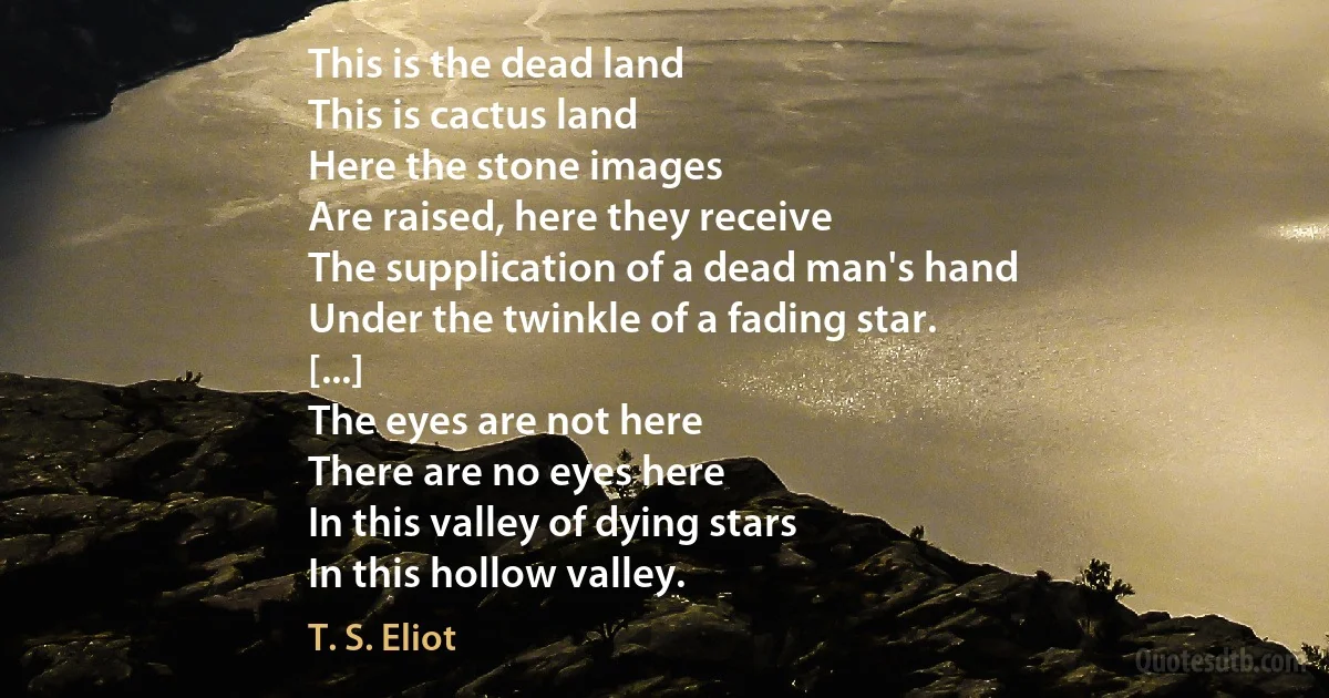 This is the dead land
This is cactus land
Here the stone images
Are raised, here they receive
The supplication of a dead man's hand
Under the twinkle of a fading star.
[...]
The eyes are not here
There are no eyes here
In this valley of dying stars
In this hollow valley. (T. S. Eliot)