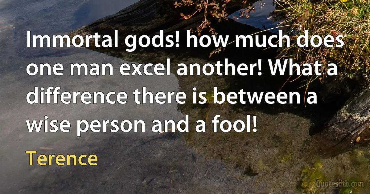 Immortal gods! how much does one man excel another! What a difference there is between a wise person and a fool! (Terence)