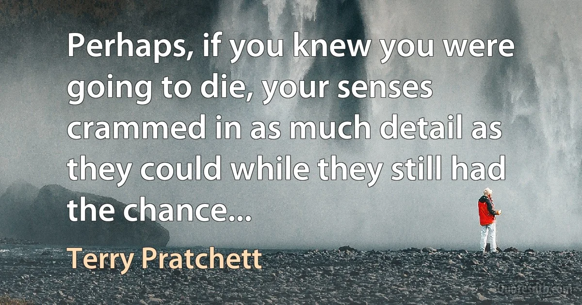 Perhaps, if you knew you were going to die, your senses crammed in as much detail as they could while they still had the chance... (Terry Pratchett)