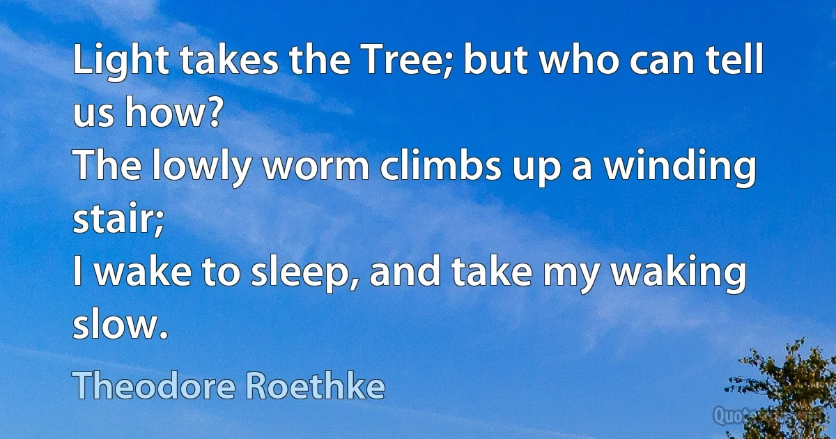 Light takes the Tree; but who can tell us how?
The lowly worm climbs up a winding stair;
I wake to sleep, and take my waking slow. (Theodore Roethke)