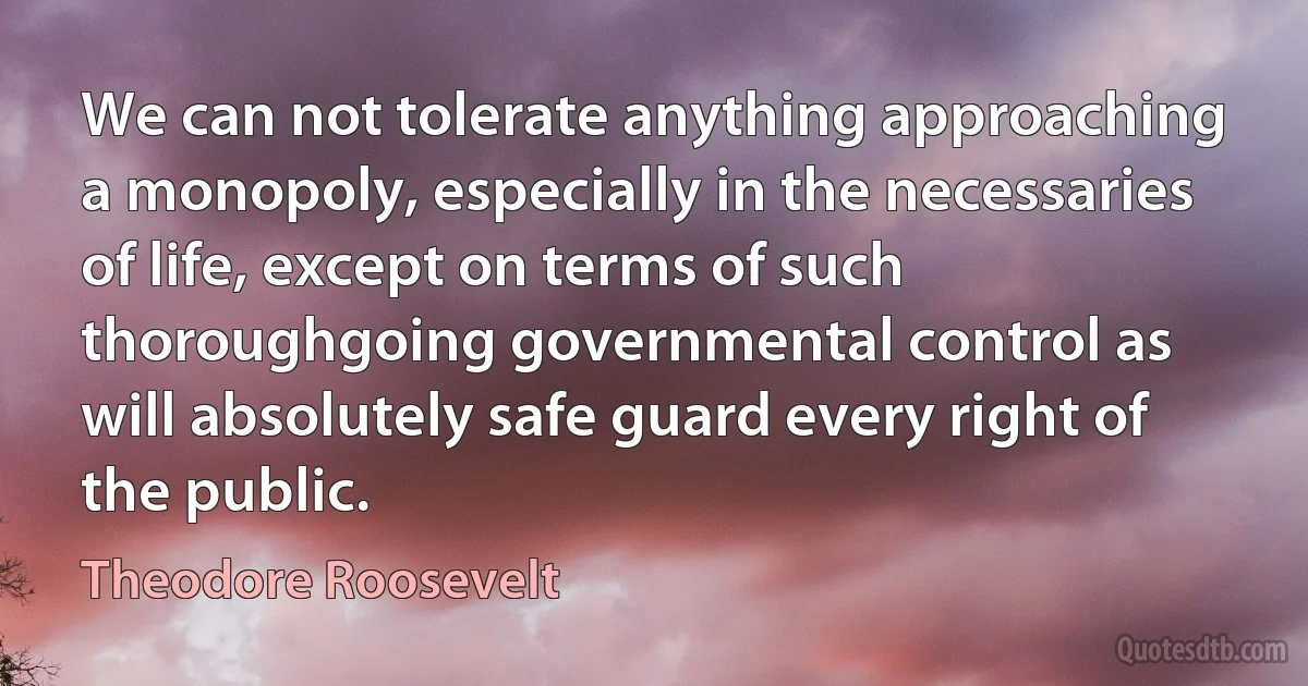 We can not tolerate anything approaching a monopoly, especially in the necessaries of life, except on terms of such thoroughgoing governmental control as will absolutely safe guard every right of the public. (Theodore Roosevelt)