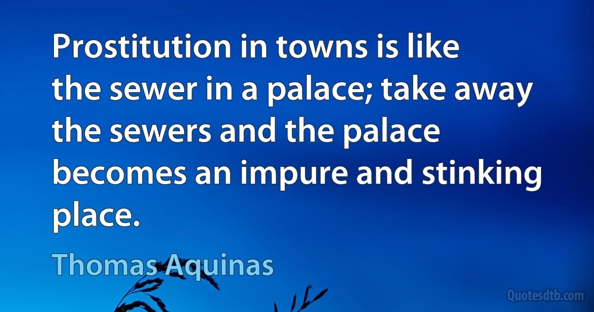 Prostitution in towns is like the sewer in a palace; take away the sewers and the palace becomes an impure and stinking place. (Thomas Aquinas)