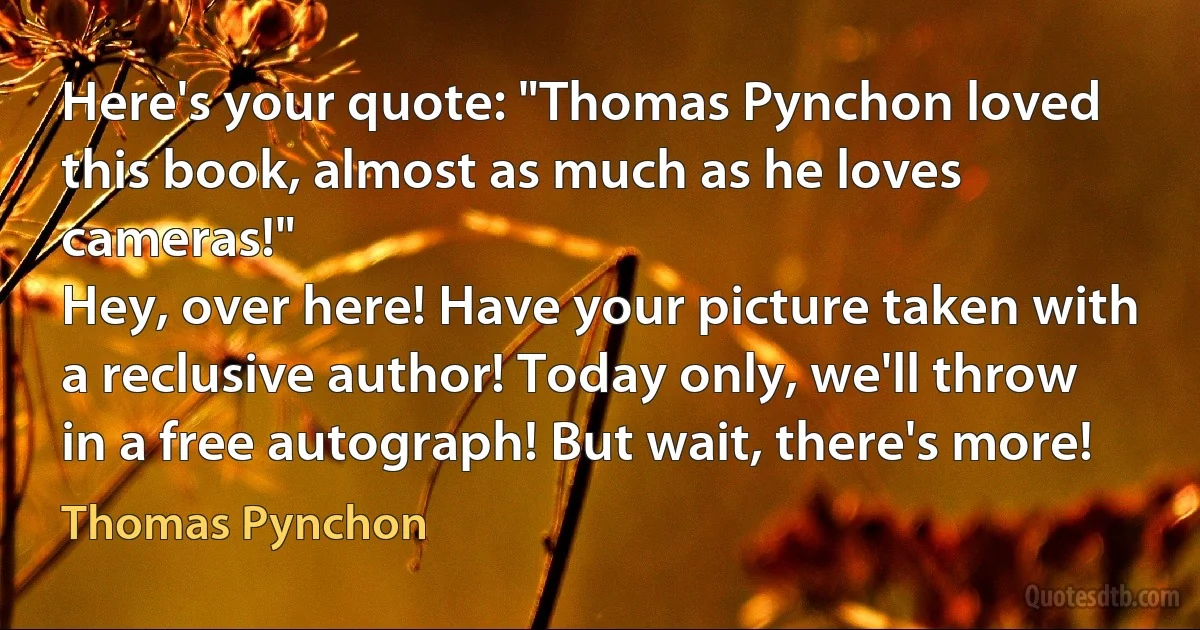 Here's your quote: "Thomas Pynchon loved this book, almost as much as he loves cameras!"
Hey, over here! Have your picture taken with a reclusive author! Today only, we'll throw in a free autograph! But wait, there's more! (Thomas Pynchon)