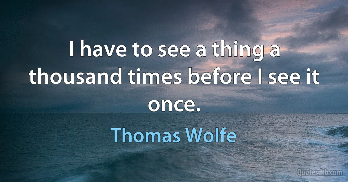 I have to see a thing a thousand times before I see it once. (Thomas Wolfe)