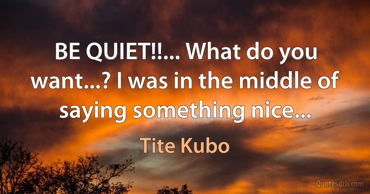 BE QUIET!!... What do you want...? I was in the middle of saying something nice... (Tite Kubo)