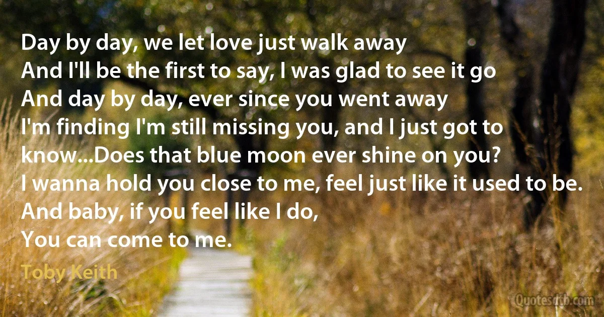 Day by day, we let love just walk away
And I'll be the first to say, I was glad to see it go
And day by day, ever since you went away
I'm finding I'm still missing you, and I just got to know...Does that blue moon ever shine on you?
I wanna hold you close to me, feel just like it used to be.
And baby, if you feel like I do,
You can come to me. (Toby Keith)