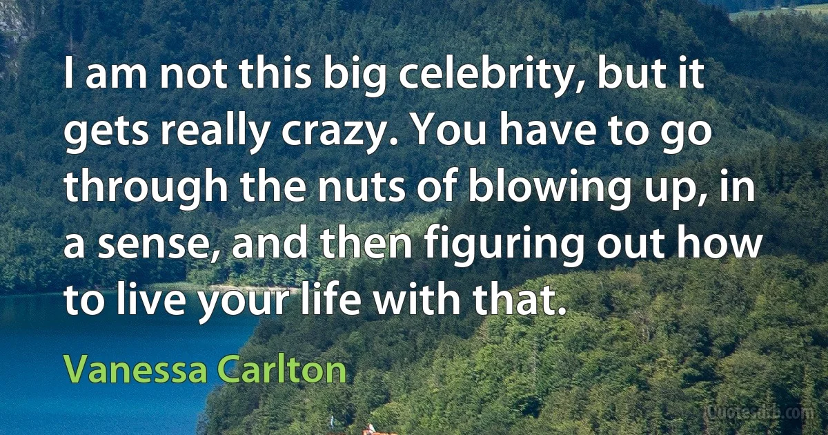 I am not this big celebrity, but it gets really crazy. You have to go through the nuts of blowing up, in a sense, and then figuring out how to live your life with that. (Vanessa Carlton)