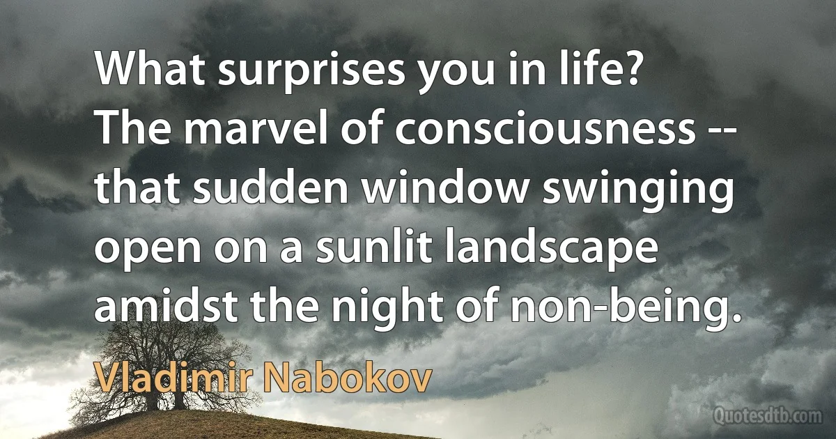 What surprises you in life? The marvel of consciousness -- that sudden window swinging open on a sunlit landscape amidst the night of non-being. (Vladimir Nabokov)