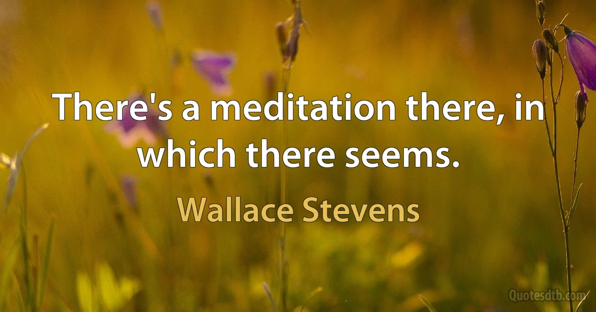 There's a meditation there, in which there seems. (Wallace Stevens)