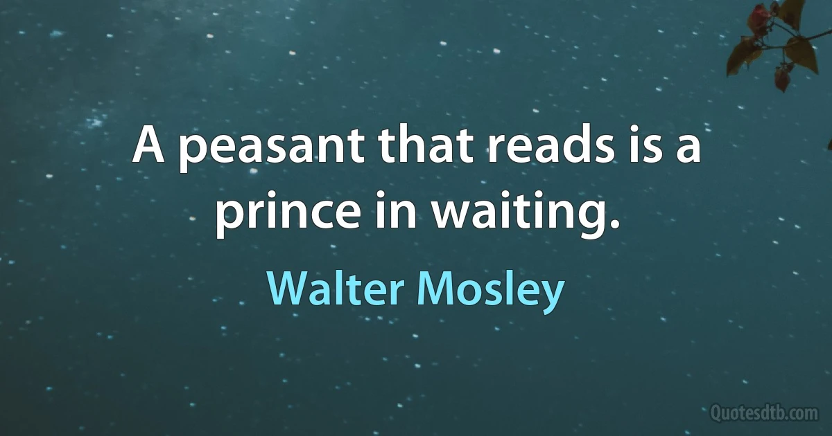 A peasant that reads is a prince in waiting. (Walter Mosley)