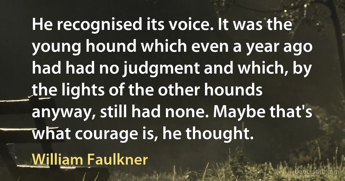 He recognised its voice. It was the young hound which even a year ago had had no judgment and which, by the lights of the other hounds anyway, still had none. Maybe that's what courage is, he thought. (William Faulkner)