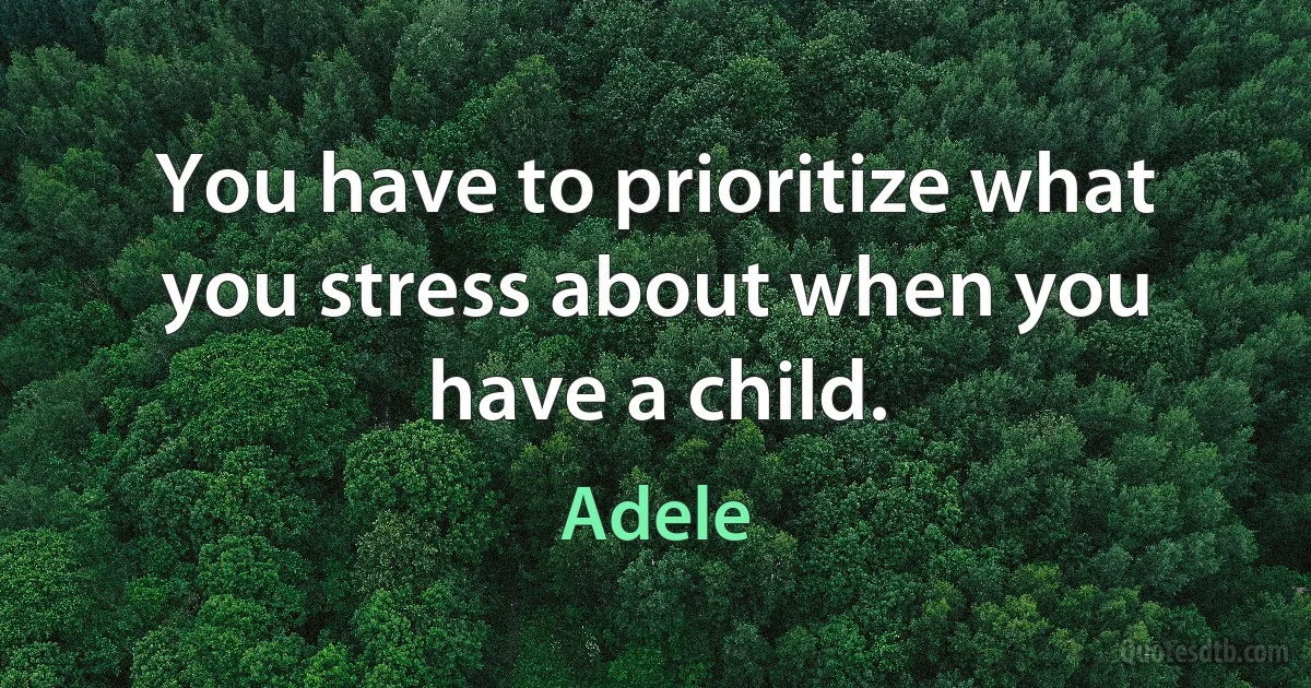 You have to prioritize what you stress about when you have a child. (Adele)