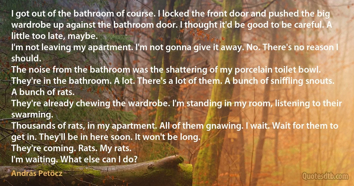 I got out of the bathroom of course. I locked the front door and pushed the big wardrobe up against the bathroom door. I thought it'd be good to be careful. A little too late, maybe.
I'm not leaving my apartment. I'm not gonna give it away. No. There's no reason I should.
The noise from the bathroom was the shattering of my porcelain toilet bowl.
They're in the bathroom. A lot. There's a lot of them. A bunch of sniffling snouts. A bunch of rats.
They're already chewing the wardrobe. I'm standing in my room, listening to their swarming.
Thousands of rats, in my apartment. All of them gnawing. I wait. Wait for them to get in. They'll be in here soon. It won't be long.
They're coming. Rats. My rats.
I'm waiting. What else can I do? (András Petöcz)