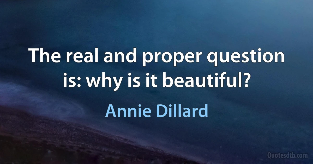 The real and proper question is: why is it beautiful? (Annie Dillard)