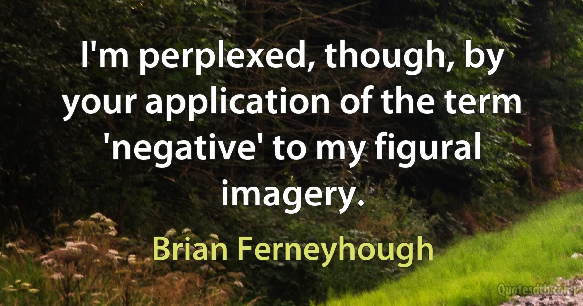 I'm perplexed, though, by your application of the term 'negative' to my figural imagery. (Brian Ferneyhough)