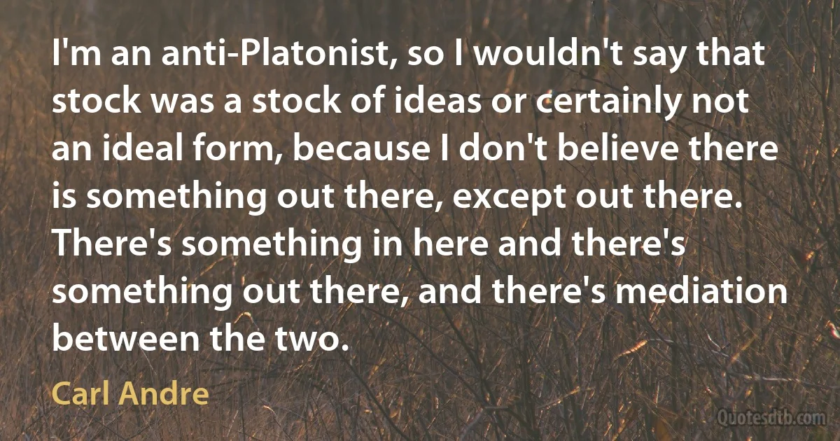 I'm an anti-Platonist, so I wouldn't say that stock was a stock of ideas or certainly not an ideal form, because I don't believe there is something out there, except out there. There's something in here and there's something out there, and there's mediation between the two. (Carl Andre)