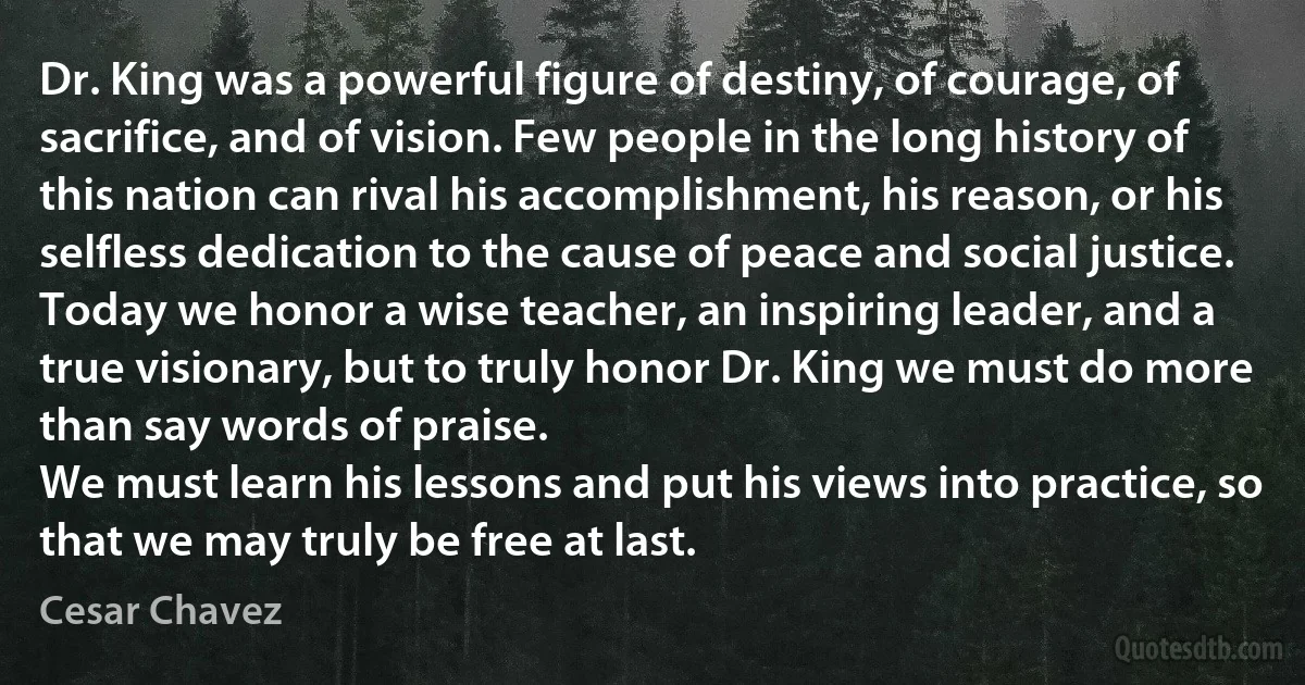 Dr. King was a powerful figure of destiny, of courage, of sacrifice, and of vision. Few people in the long history of this nation can rival his accomplishment, his reason, or his selfless dedication to the cause of peace and social justice.
Today we honor a wise teacher, an inspiring leader, and a true visionary, but to truly honor Dr. King we must do more than say words of praise.
We must learn his lessons and put his views into practice, so that we may truly be free at last. (Cesar Chavez)