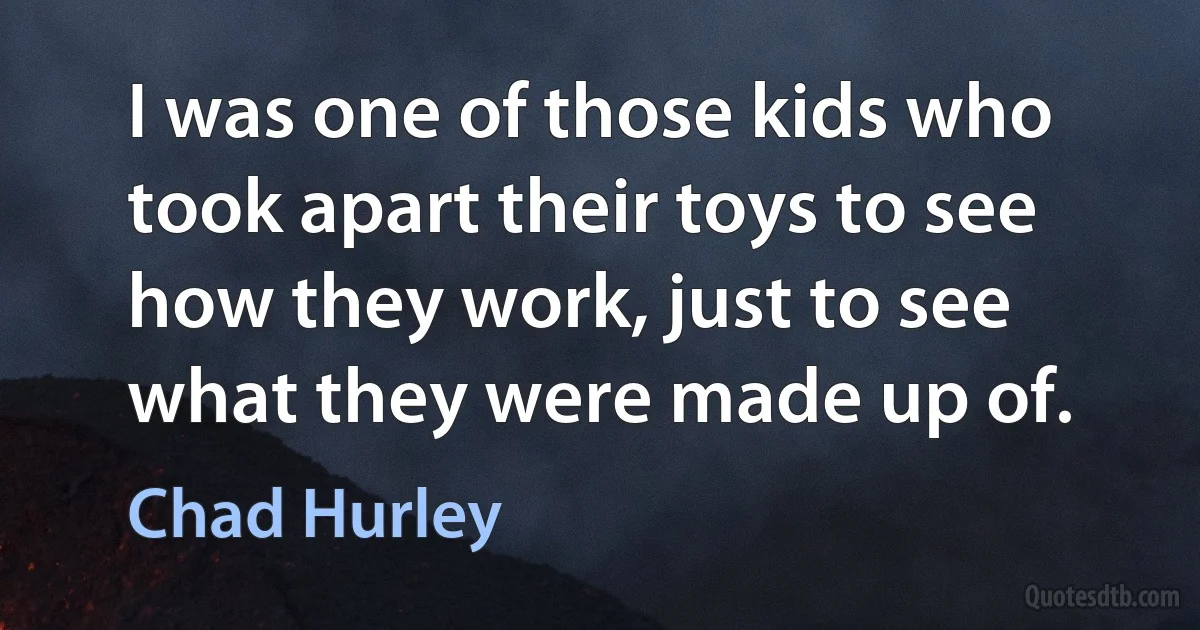 I was one of those kids who took apart their toys to see how they work, just to see what they were made up of. (Chad Hurley)