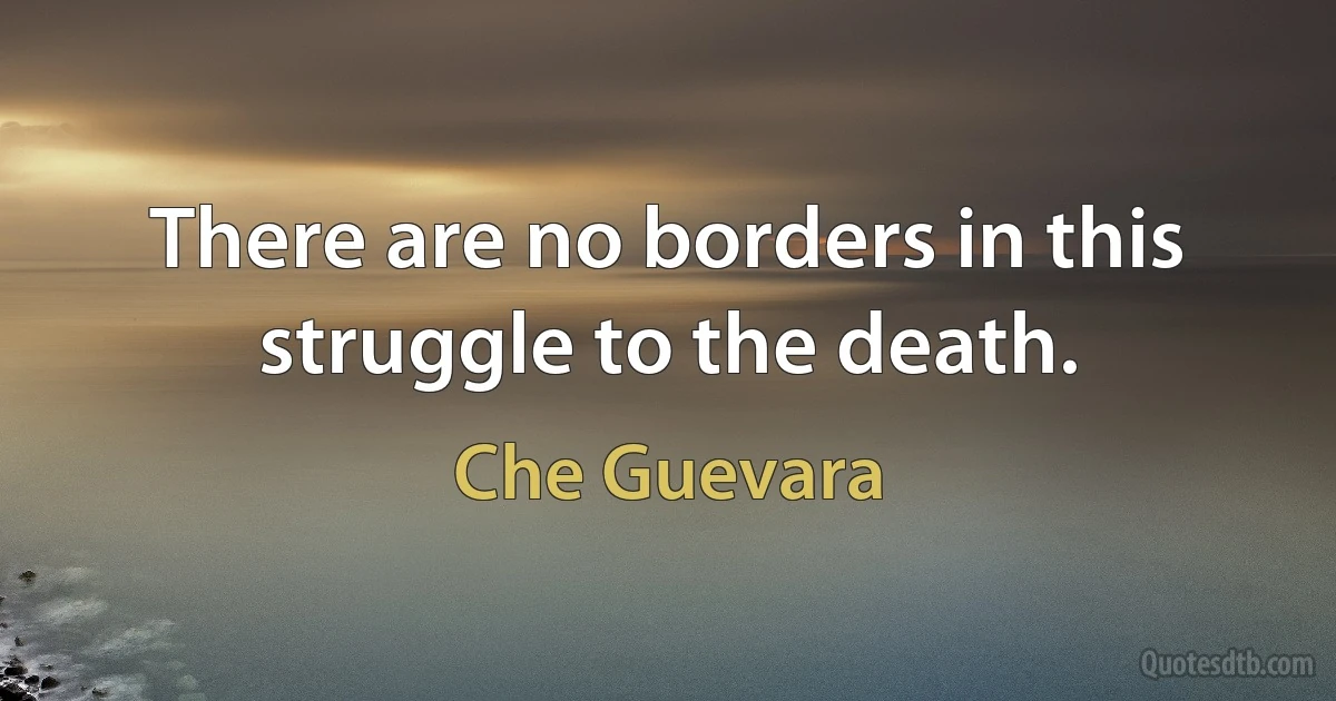 There are no borders in this struggle to the death. (Che Guevara)