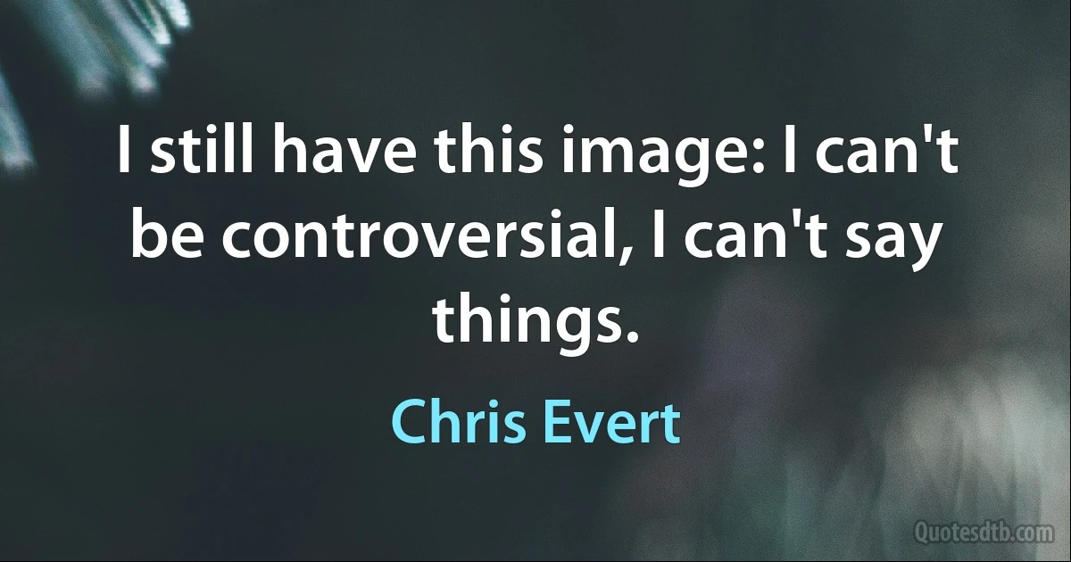 I still have this image: I can't be controversial, I can't say things. (Chris Evert)