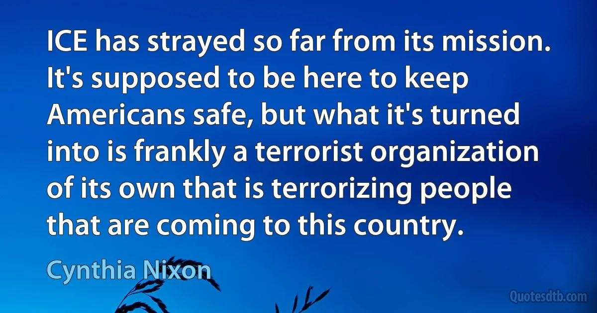 ICE has strayed so far from its mission. It's supposed to be here to keep Americans safe, but what it's turned into is frankly a terrorist organization of its own that is terrorizing people that are coming to this country. (Cynthia Nixon)