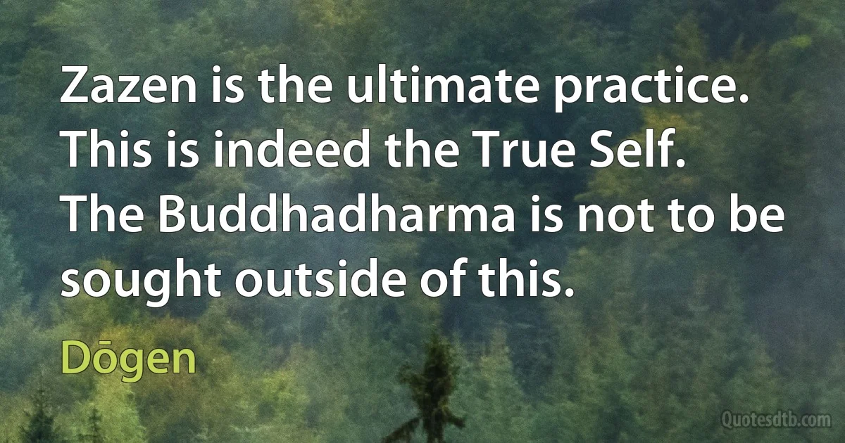 Zazen is the ultimate practice. This is indeed the True Self. The Buddhadharma is not to be sought outside of this. (Dōgen)