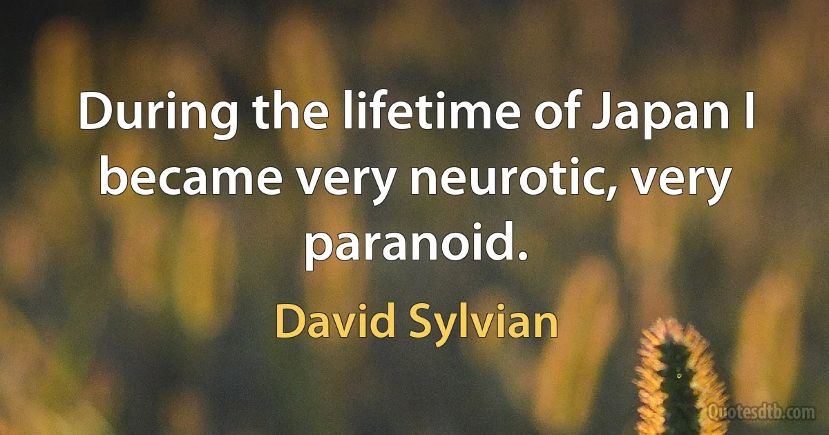 During the lifetime of Japan I became very neurotic, very paranoid. (David Sylvian)