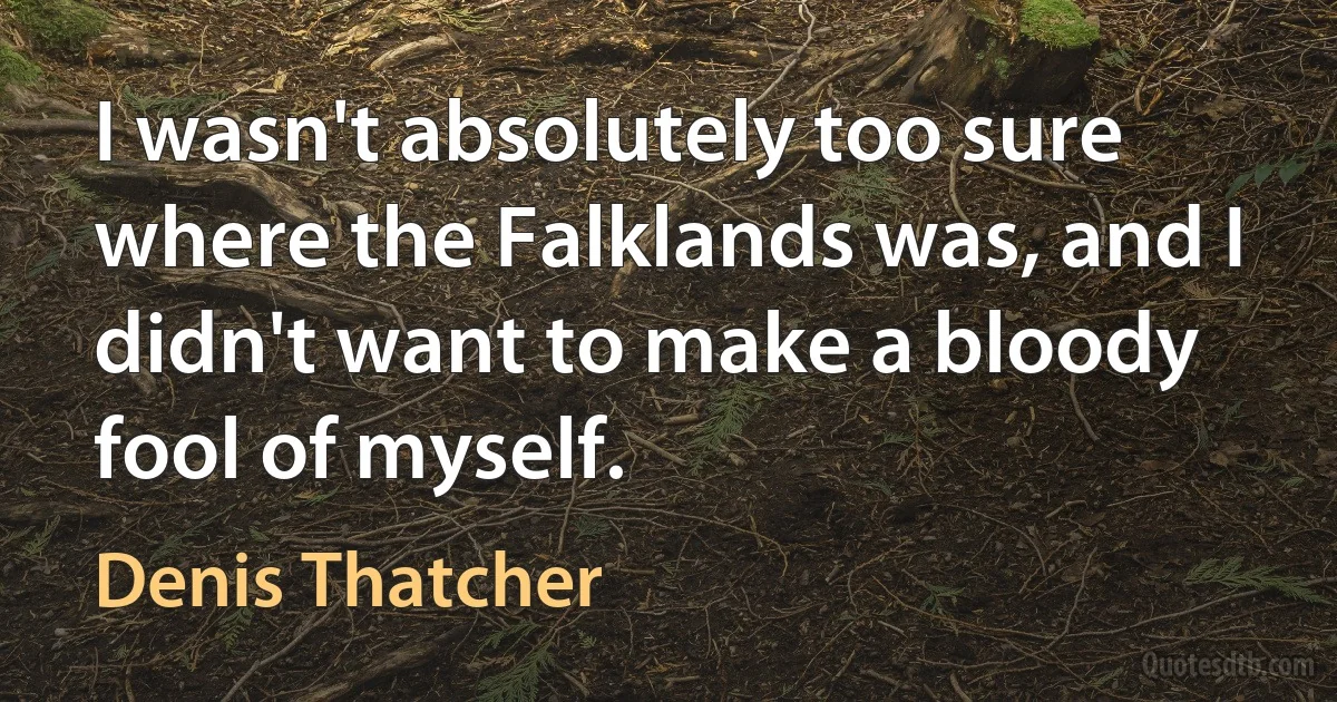 I wasn't absolutely too sure where the Falklands was, and I didn't want to make a bloody fool of myself. (Denis Thatcher)