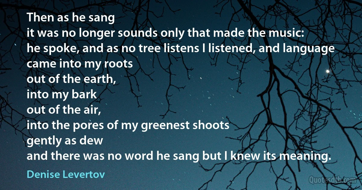 Then as he sang
it was no longer sounds only that made the music:
he spoke, and as no tree listens I listened, and language
came into my roots
out of the earth,
into my bark
out of the air,
into the pores of my greenest shoots
gently as dew
and there was no word he sang but I knew its meaning. (Denise Levertov)