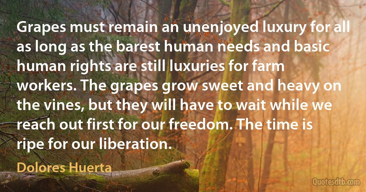 Grapes must remain an unenjoyed luxury for all as long as the barest human needs and basic human rights are still luxuries for farm workers. The grapes grow sweet and heavy on the vines, but they will have to wait while we reach out first for our freedom. The time is ripe for our liberation. (Dolores Huerta)