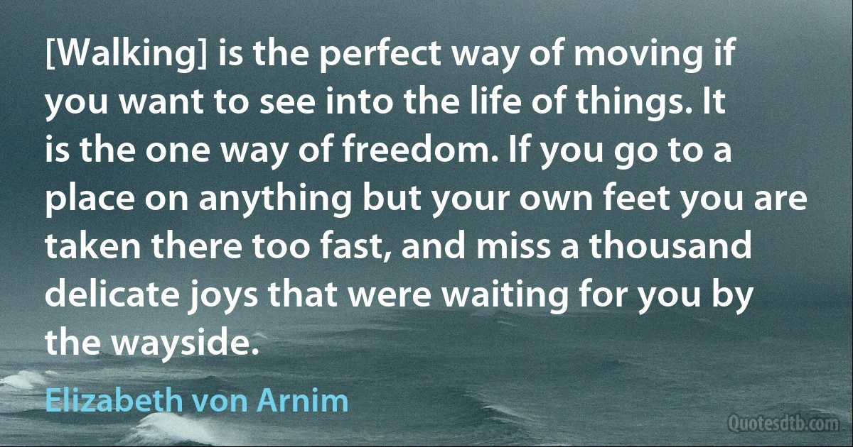 [Walking] is the perfect way of moving if you want to see into the life of things. It is the one way of freedom. If you go to a place on anything but your own feet you are taken there too fast, and miss a thousand delicate joys that were waiting for you by the wayside. (Elizabeth von Arnim)