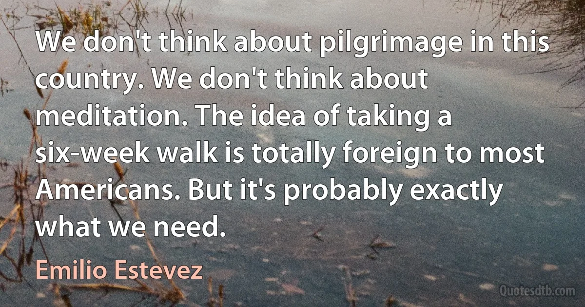 We don't think about pilgrimage in this country. We don't think about meditation. The idea of taking a six-week walk is totally foreign to most Americans. But it's probably exactly what we need. (Emilio Estevez)