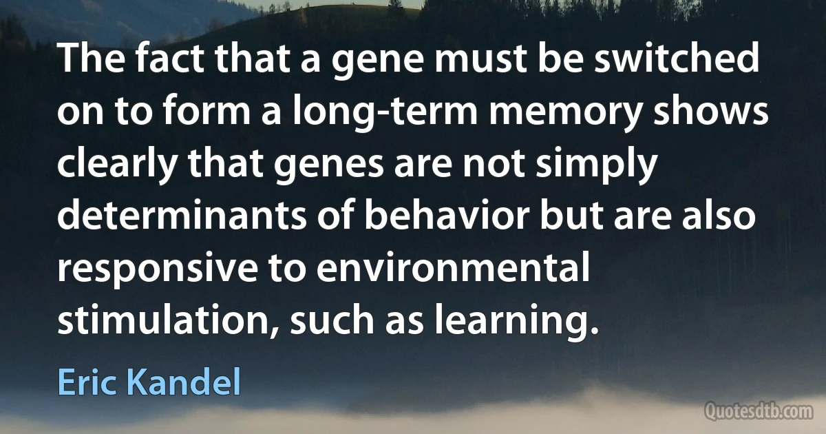 The fact that a gene must be switched on to form a long-term memory shows clearly that genes are not simply determinants of behavior but are also responsive to environmental stimulation, such as learning. (Eric Kandel)