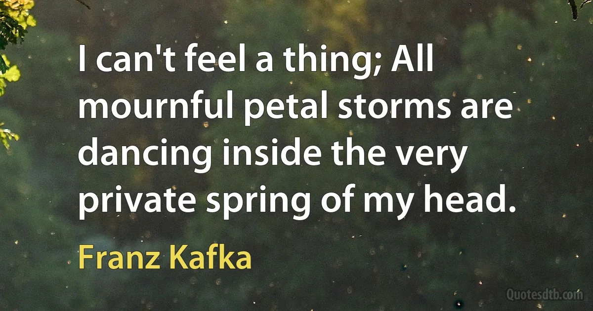 I can't feel a thing; All mournful petal storms are dancing inside the very private spring of my head. (Franz Kafka)