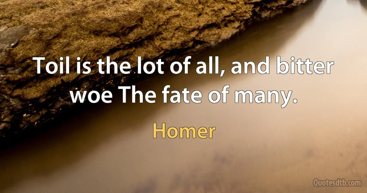 Toil is the lot of all, and bitter woe The fate of many. (Homer)