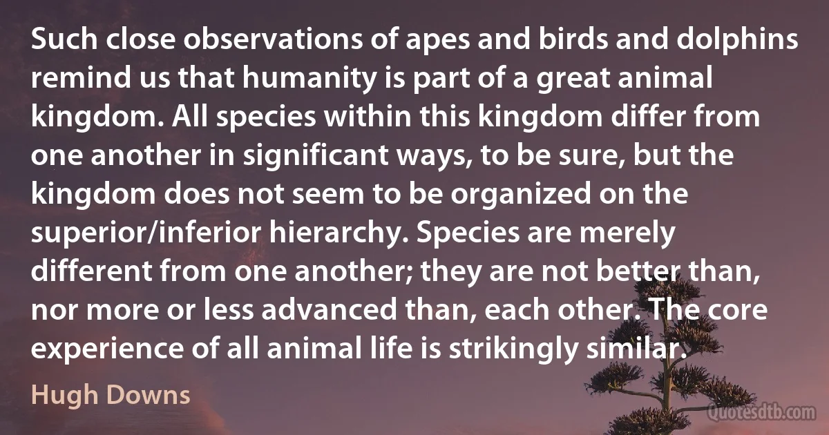 Such close observations of apes and birds and dolphins remind us that humanity is part of a great animal kingdom. All species within this kingdom differ from one another in significant ways, to be sure, but the kingdom does not seem to be organized on the superior/inferior hierarchy. Species are merely different from one another; they are not better than, nor more or less advanced than, each other. The core experience of all animal life is strikingly similar. (Hugh Downs)